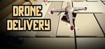 Drone Delivery steam charts