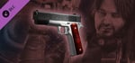 Resident Evil: Revelations Parker's Government Handgun + Custom Part: banner image