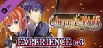 Experience x3 - Chrome Wolf banner image