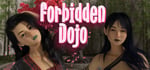 Forbidden Dojo steam charts