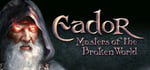 Eador. Masters of the Broken World steam charts