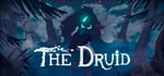 The Druid steam charts