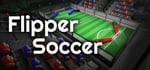 Flipper Soccer steam charts