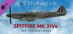 IL-2 Sturmovik: Spitfire Mk.XIVe with Teardrop Canopy banner image