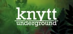 Knytt Underground steam charts