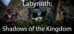 Labyrinth: Shadows of the Kingdom steam charts