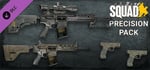 Squad Weapon Skins - Precision Strike Pack banner image