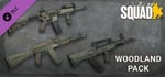 Squad Weapon Skins - Woodland Camo Pack banner image