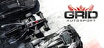 GRID Autosport banner image