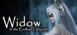 Widow in the Endless Labyrinth banner image