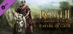 Total War: ROME II - Caesar in Gaul Campaign Pack banner image
