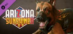 Arizona Sunshine® 2 - Biker Bark Vest banner image