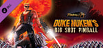 Pinball M - Duke Nukem's Big Shot Pinball banner image