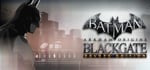 Batman™: Arkham Origins Blackgate - Deluxe Edition steam charts