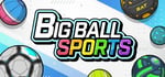 BIG BALL SPORTS steam charts