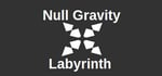 Null Gravity Labyrinth steam charts