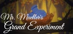 Mr. Mueller's Grand Experiment steam charts
