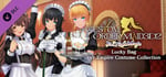 CUSTOM ORDER MAID 3D2 It’s a Night Magic Lucky Bag Ver. Empire Costume Collection banner image