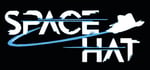 Space Hat steam charts