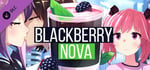 BlackberryNOVA – Artbook banner image
