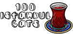 100 Istanbul Cats banner image