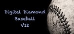 Digital Diamond Baseball V12 steam charts
