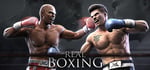 Real Boxing™ steam charts