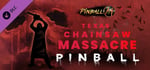 Pinball M - Texas Chainsaw Massacre Pinball banner image