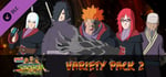 NARUTO SHIPPUDEN: Ultimate Ninja STORM Revolution - DLC8 Variety Pack 2 banner image