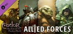 Eador. Masters of the Broken World - Allied Forces banner image