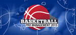 Basketball Pro Management 2015 steam charts