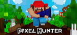 Pixel Hunter steam charts