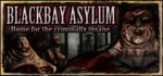 Blackbay Asylum steam charts