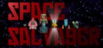 Space Salvager steam charts