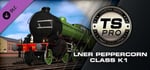 Train Simulator: LNER Peppercorn Class K1 Loco Add-On banner image