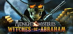 Midnight Mysteries: Witches of Abraham - Collector's Edition steam charts
