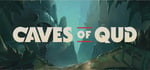 Caves of Qud banner image