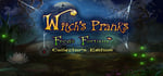Witch's Pranks: Frog's Fortune Collector's Edition steam charts