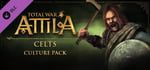 Total War: ATTILA - Celts Culture Pack banner image