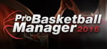 Pro Basketball Manager 2016 steam charts
