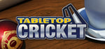 TableTop Cricket steam charts