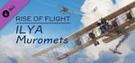 Rise of Flight: ILYA Muromets banner image