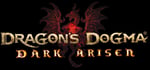 Dragon's Dogma: Dark Arisen banner image