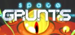 Space Grunts banner image