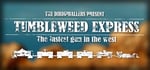Tumbleweed Express steam charts