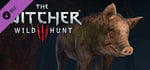 The Witcher 3: Wild Hunt - New Quest 'Fool's Gold' banner image