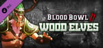 Blood Bowl 2 - Wood Elves banner image