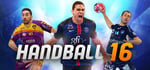 Handball 16 steam charts
