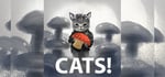 CATS! steam charts