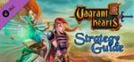 Official Guide - Vagrant Hearts banner image